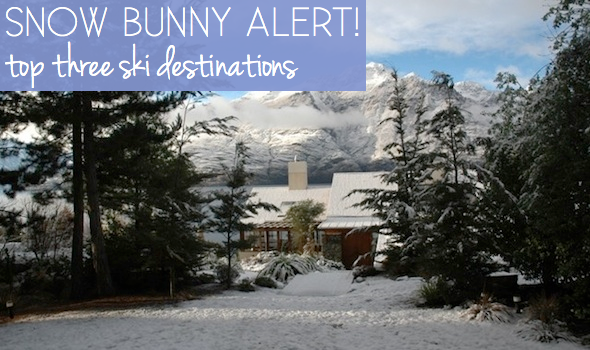 ski destination dcg