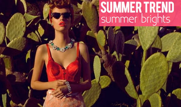 summer brights beauty dcg