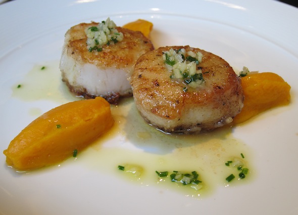 ammo scallops