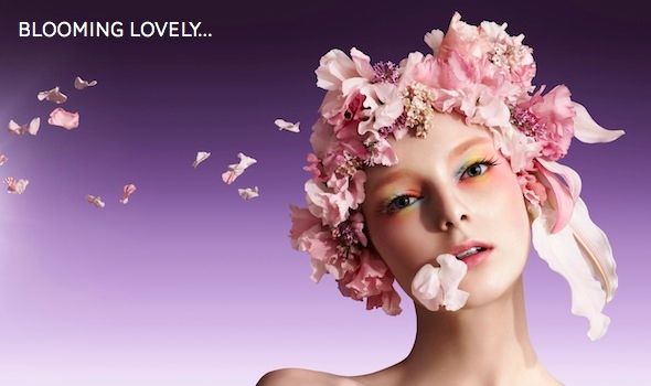 spring beauty round-up dcg