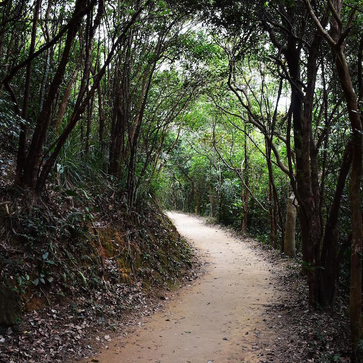 Hong Kong Running Routes: Sir Cecil's Ride