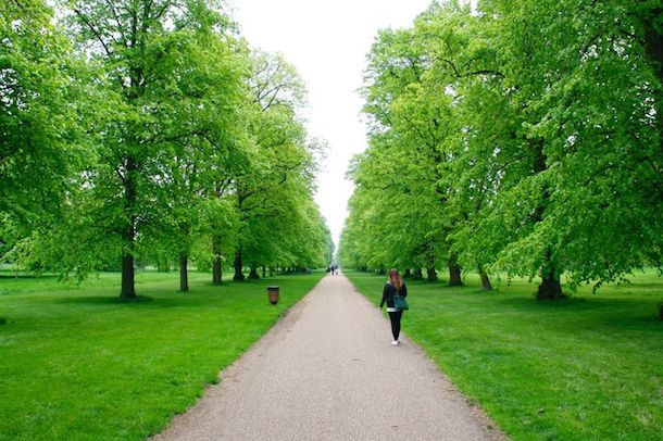 A footpath in Kensington Gardens, London. Love the green.