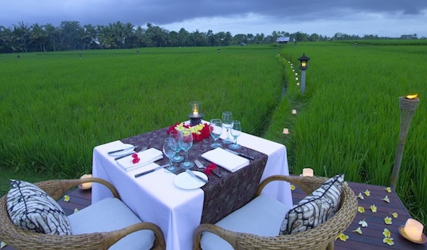 Dining-on-the-rice-field_v-1