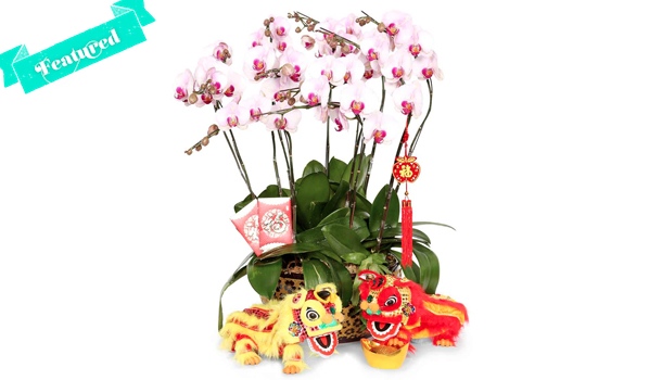 gift flowers cny 2015