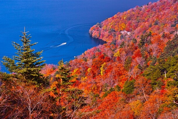 KAYAK - Hike - Japan