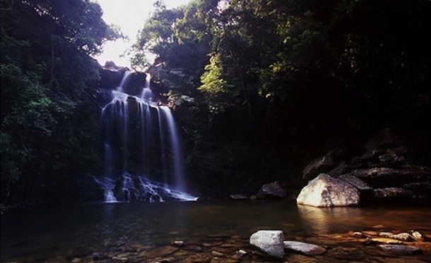 waterfall hikes hong kong - bride's pool