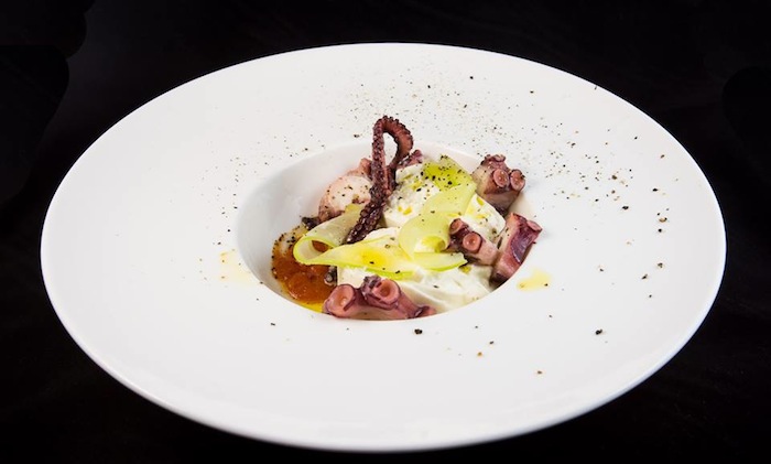 octopus and burrata dish