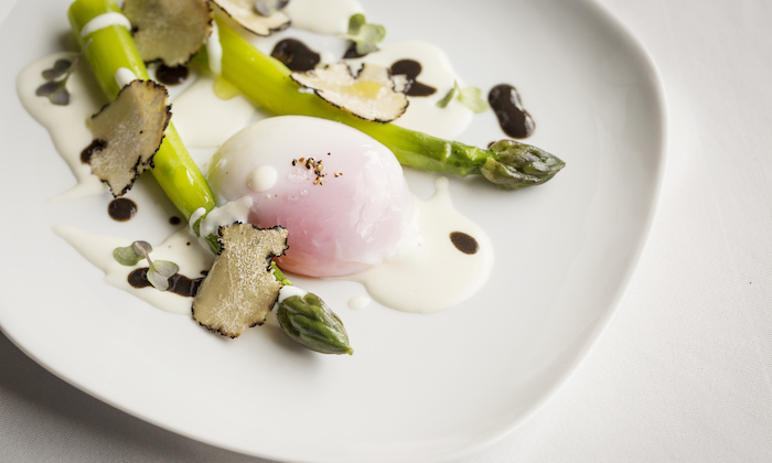 Eggs and asparagus on a white plate