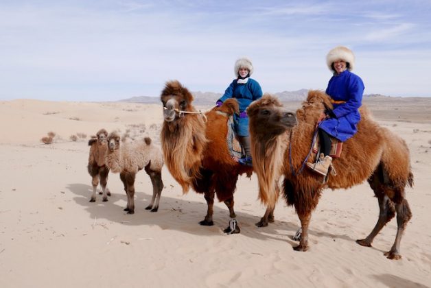 two women on camels in Mongolia
