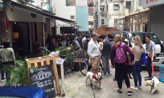 Dog and people gathering at Locofama for the dog adoption day