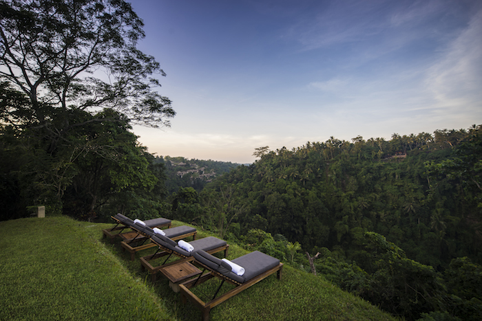 a view of the valley from alila ubud resort in bali