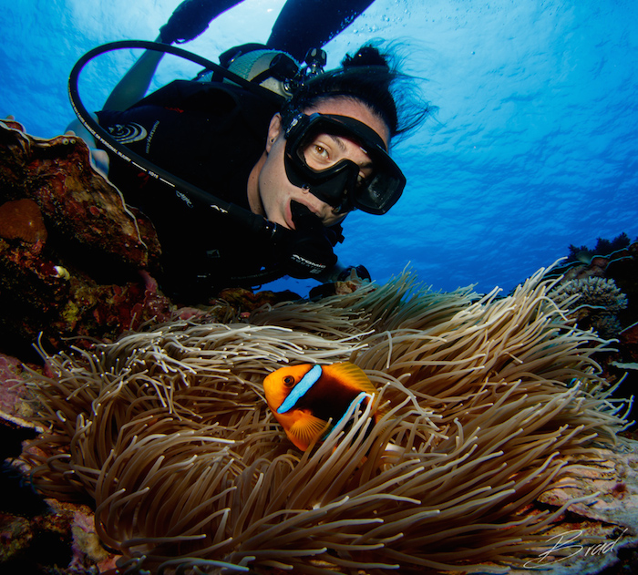 girl scuba diving with clown fish