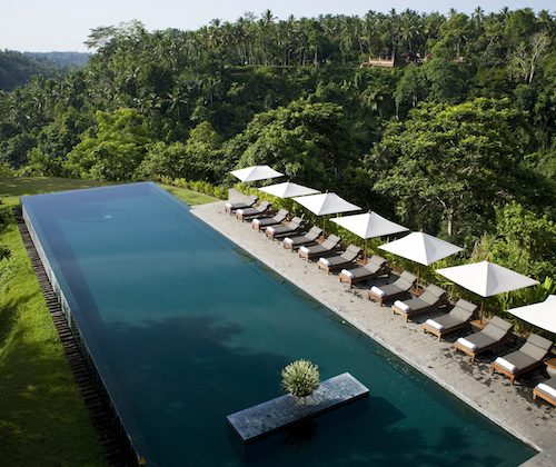 the pool at alila ubud bali