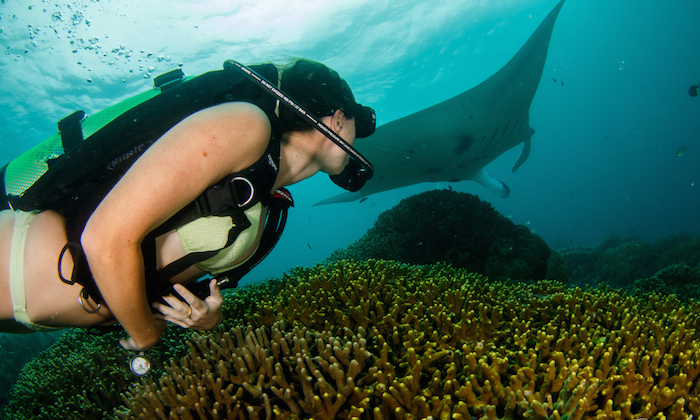 a girl scuba diving with a manta ray