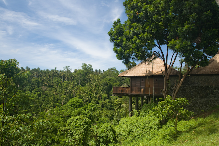 a villa at alila ubud in the hills