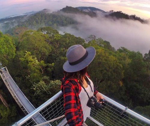 a girl on top of a tree canopy