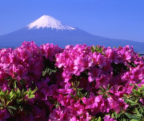 mount fuji japan