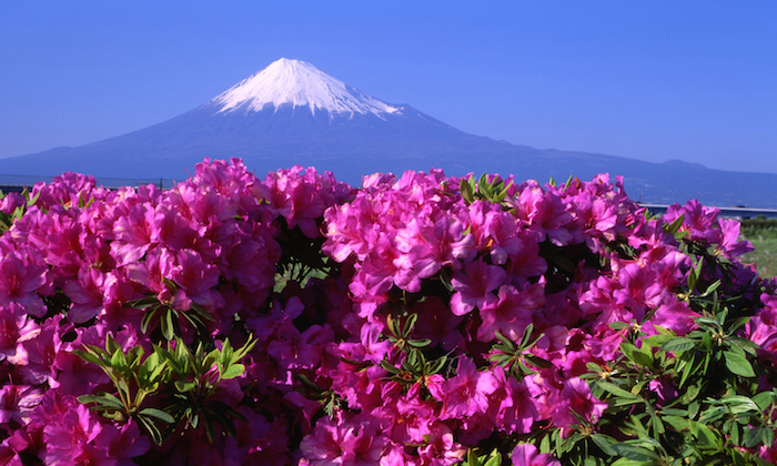 mount fuji japan