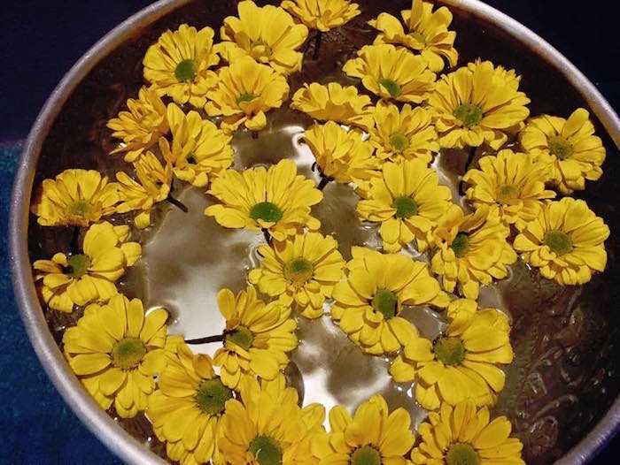 flowers in a bowl of water at point yamu