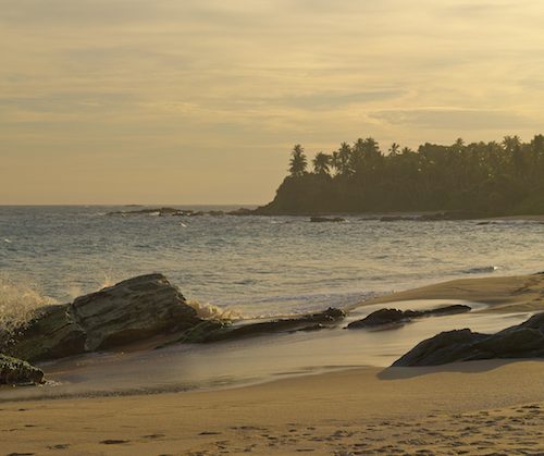 amanwella beach at dusk