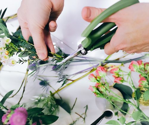 cutting flowers