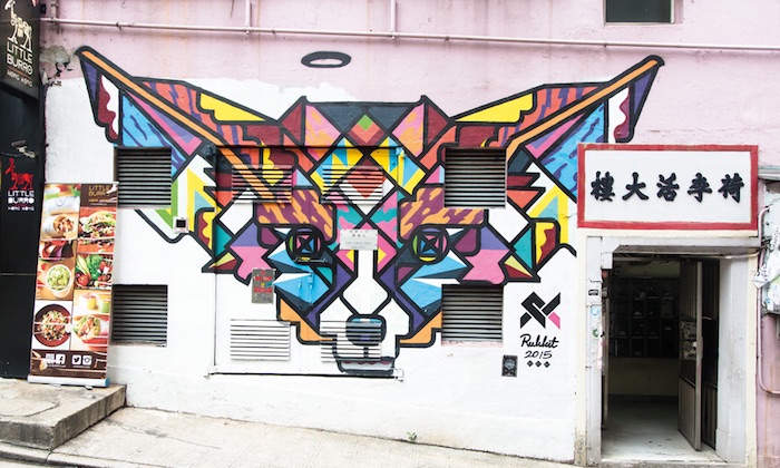 fox mulitcoloured street art