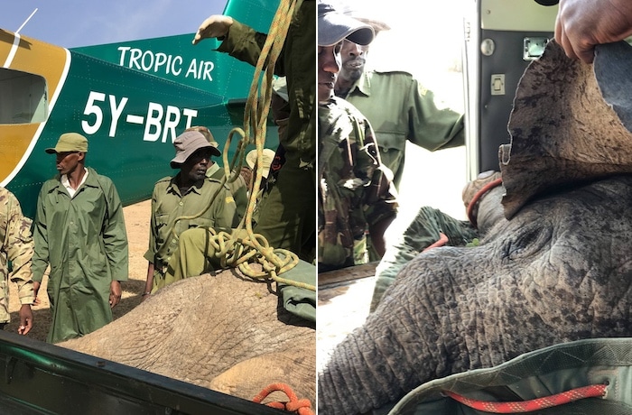 Anti-Poaching and Aerial Filming: 5 Minutes with Ben Simpson, Sir David Attenborough’s Helicopter Pilot