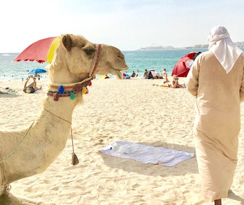 Sassy's Guide to Dubai