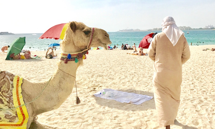 Sassy's Guide to Dubai