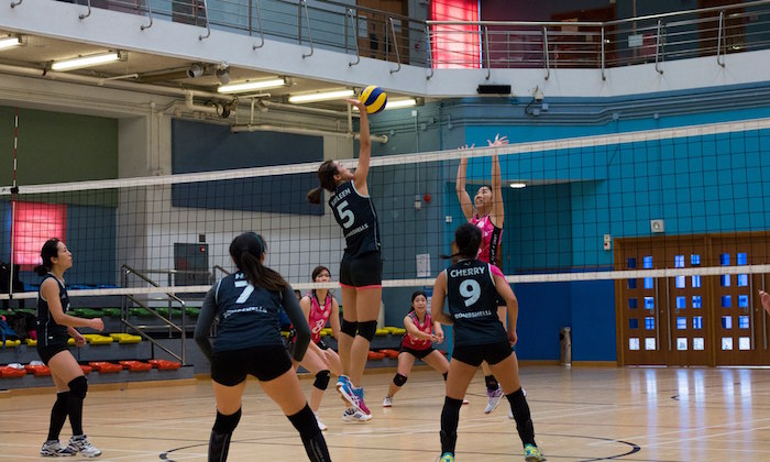 volleyball team sports hong kong