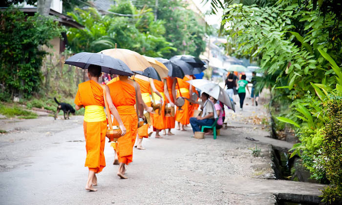 Alms Giving Ceremony Luang Prabang Laos