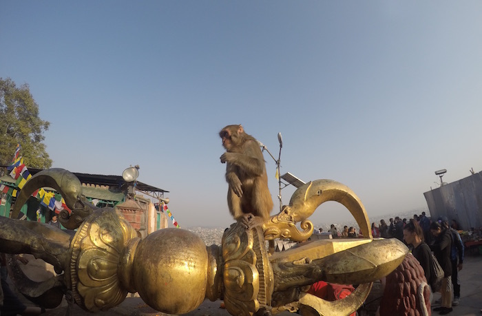 Swayambhunath Monkey Temple 