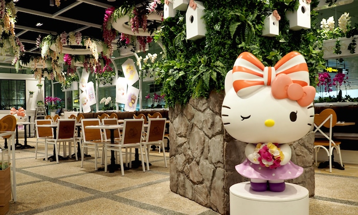 Layover Survival Guide: What to Do in Singapore Changi International Airport