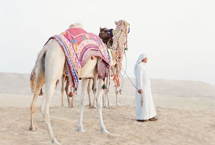 A 24-Hour Guide to Abu Dhabi