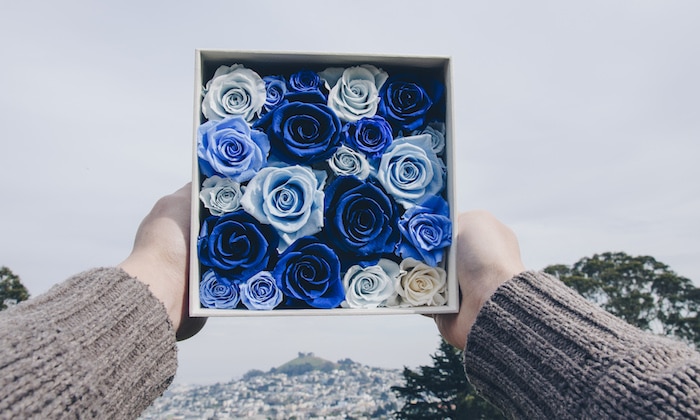 Real Roses That Last a Year? Bovi Flowers Reveals All...