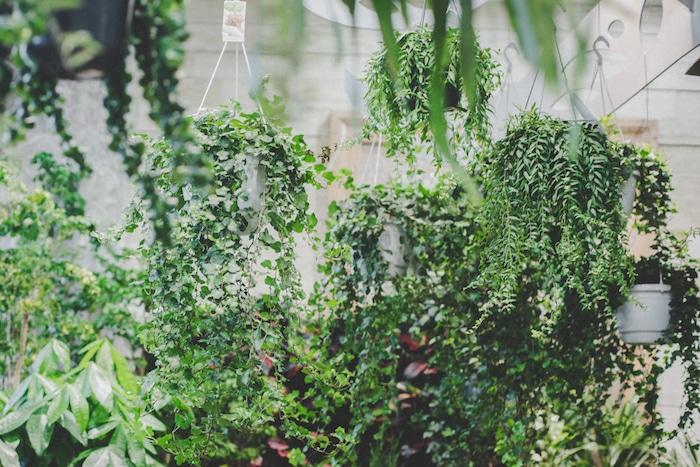 Your Guide to the Flower Market