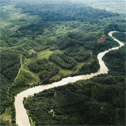 How hard is it to go palm oil-free in hong kong