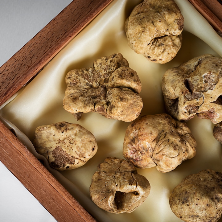 Carbone Alba White Truffles