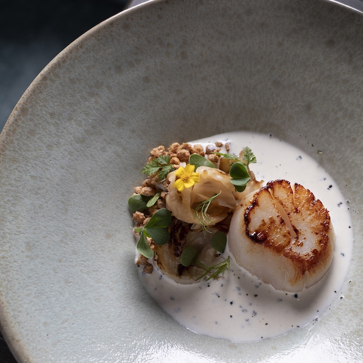Pan-fried scallops, smoked cabbage heart with Welsh laverbread butter