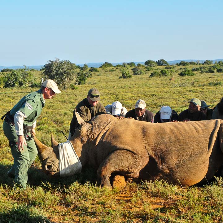 ethical Private game reserve in south africa