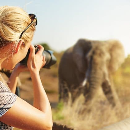 How To Choose The Right Private Game Reserve Safari
