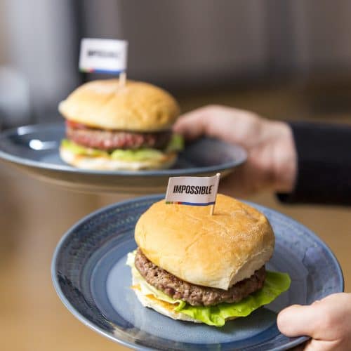 9 Questions With Nick Halla of Impossible Foods