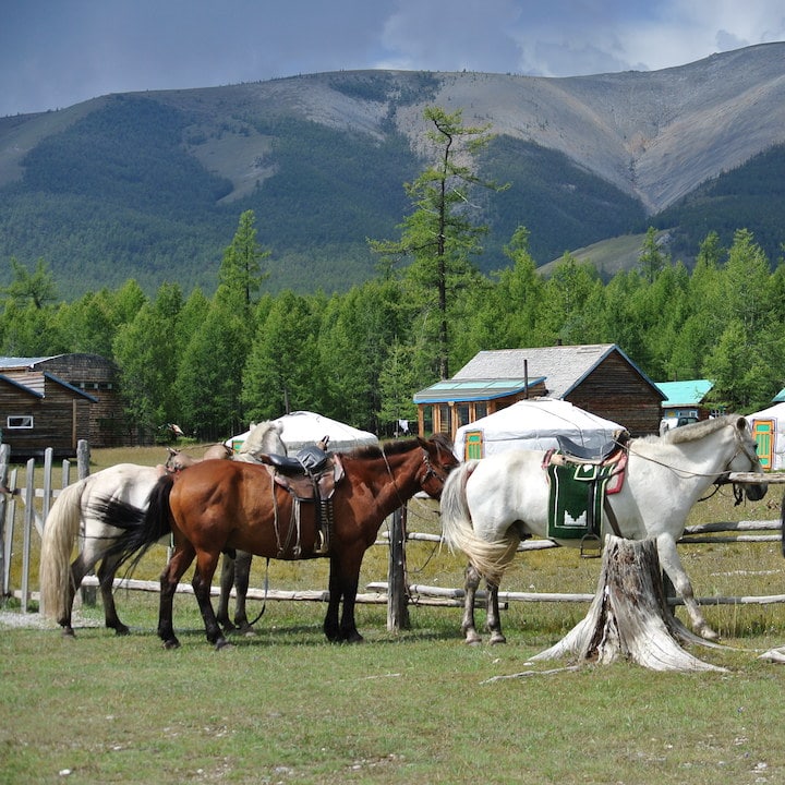 travel mongolia khuvsgal horse riding