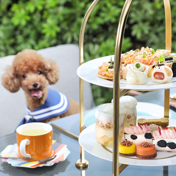 The Murray afternoon tea