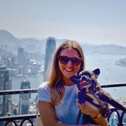 Adopting A Dog In Hong Kong 101