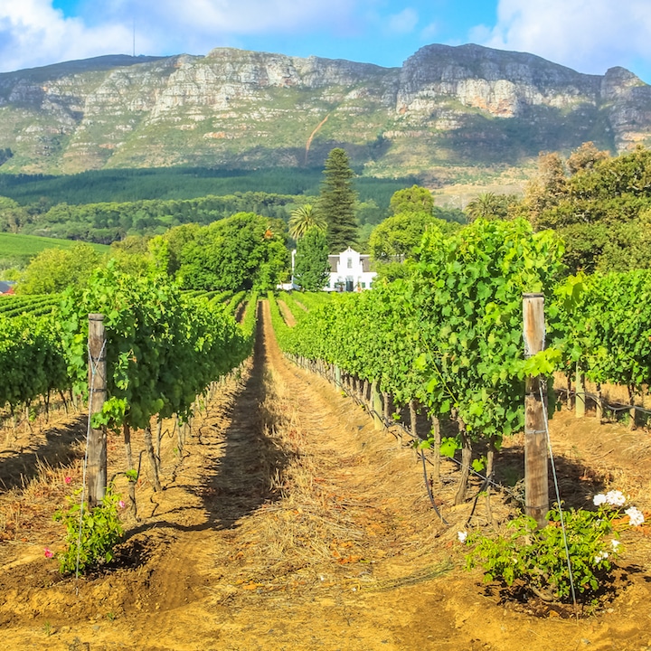 Cape Winelands travel 2020