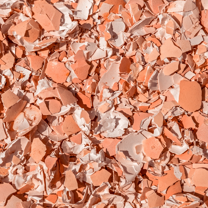 Crushed eggshells