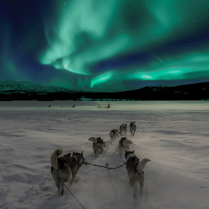 travel from home - virtual travel experiences - lapland