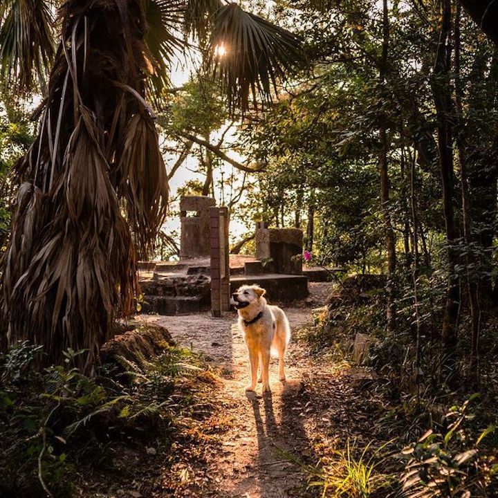 historic hikes hong kong ancient trails hikes: wong nai chung gap