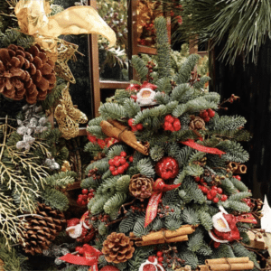 Where To Buy & Recycle Your Christmas Tree In Hong Kong
